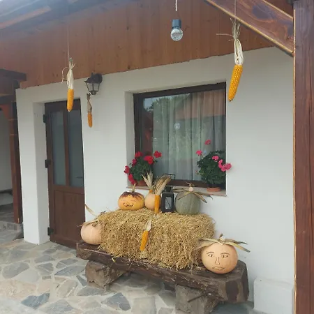 Lunca Vilă Târgu Neamţ